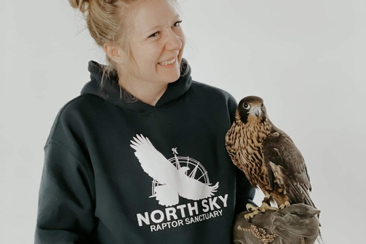 a child looking at the camera